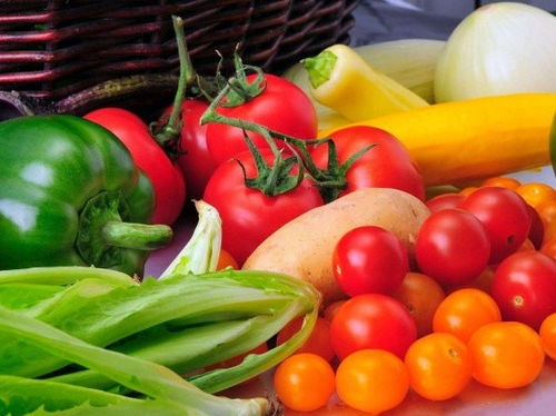 深圳市启动“治违禁、控药残、促提升”三年行动，强化食用农产品安全监管